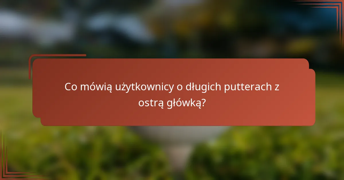 Co mówią użytkownicy o długich putterach z ostrą główką?
