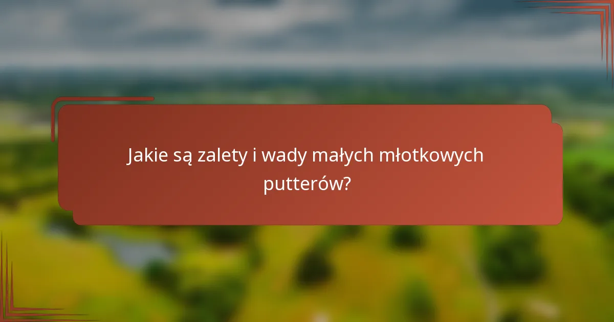 Jakie są zalety i wady małych młotkowych putterów?